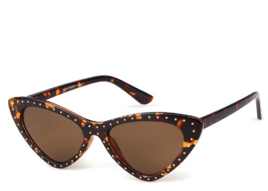 Palm Springs Tortoise Sunglasses